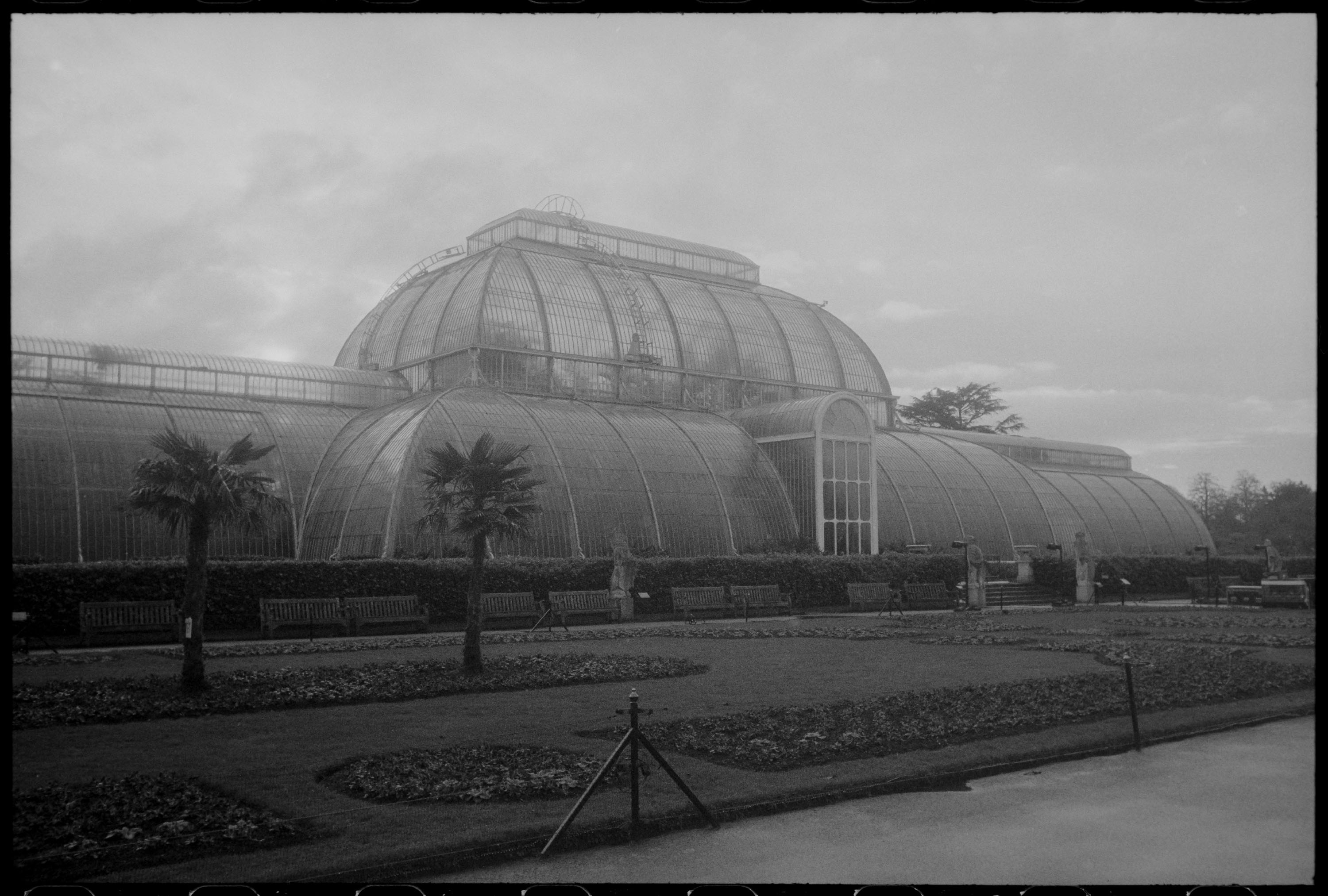 Palmenhaus in Kew Gardens, London mit dem Ekurz auf Delta 400 Professional gepusht auf EL800