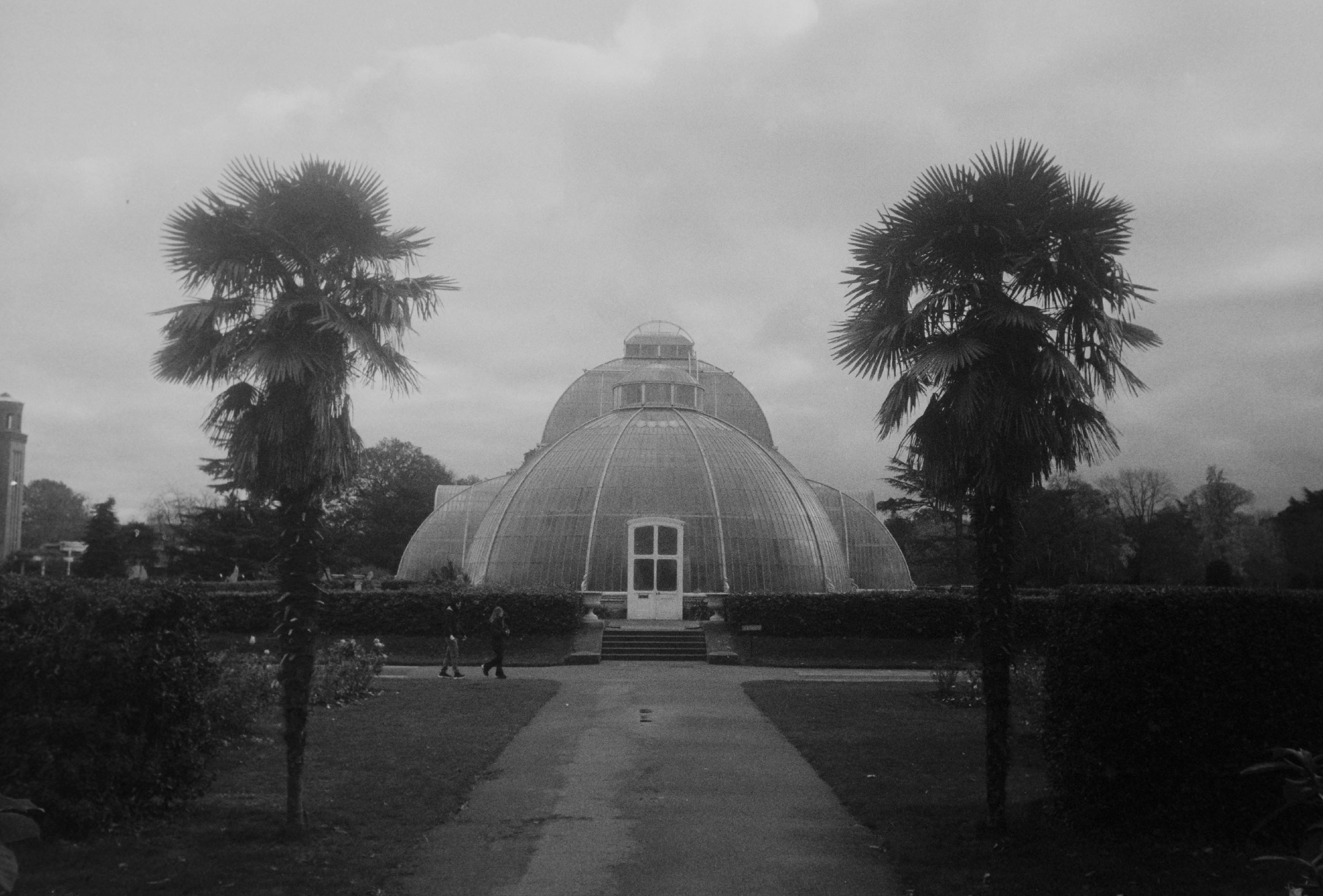 Palmenhaus in Kew Gardens, London mit dem Ekurz auf Delta 400 Professional gepusht auf EL800
